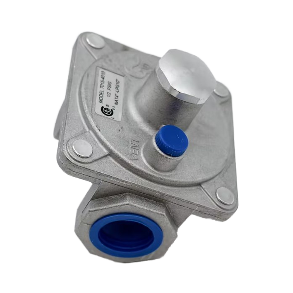 3/4 NPT LPG Natural Gas Interchangeable Pressure Regulator Valve for Gas Heaters Cookers Ovens